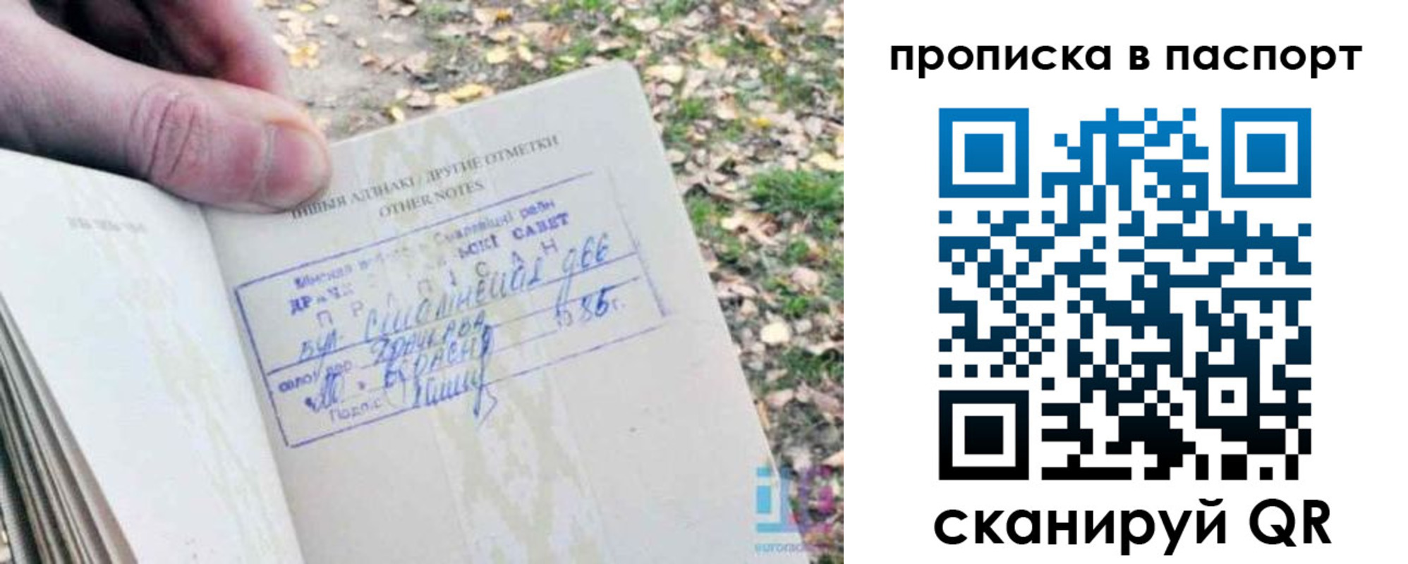 купить прописку в Великом Новгороде